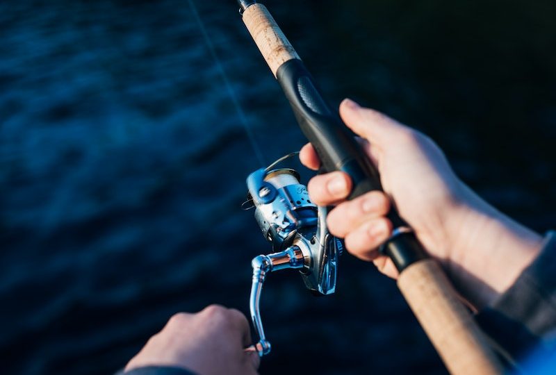 Fishing Tips Every Beginner Needs to Know