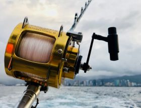 How to Choose the Right Fishing Gear