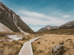 The Best Adventure Activities in NZ