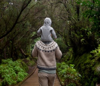 Top 10 Walks to Find New Zealand Wildlife