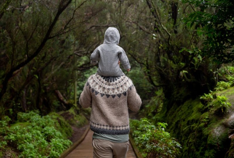 Top 10 Walks to Find New Zealand Wildlife