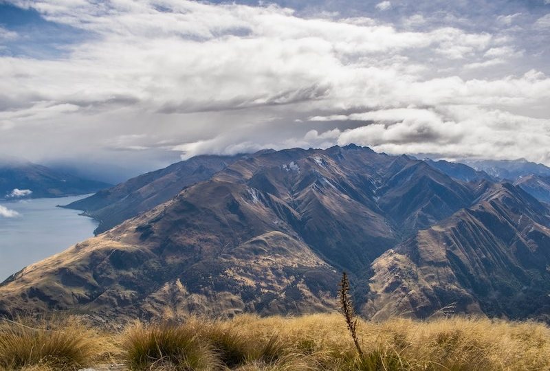 beach to bush - new zealand adventures