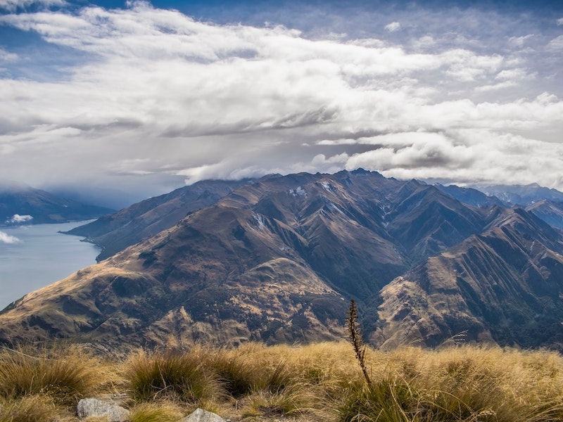 beach to bush - new zealand adventures